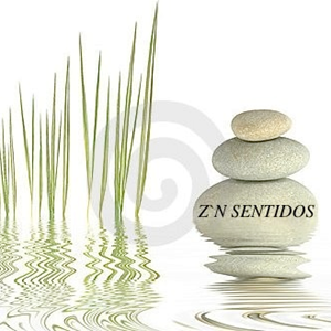 Z´N sentidos